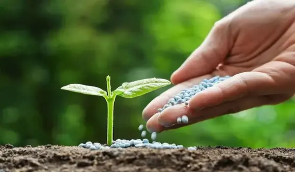 Bio Fertilizers