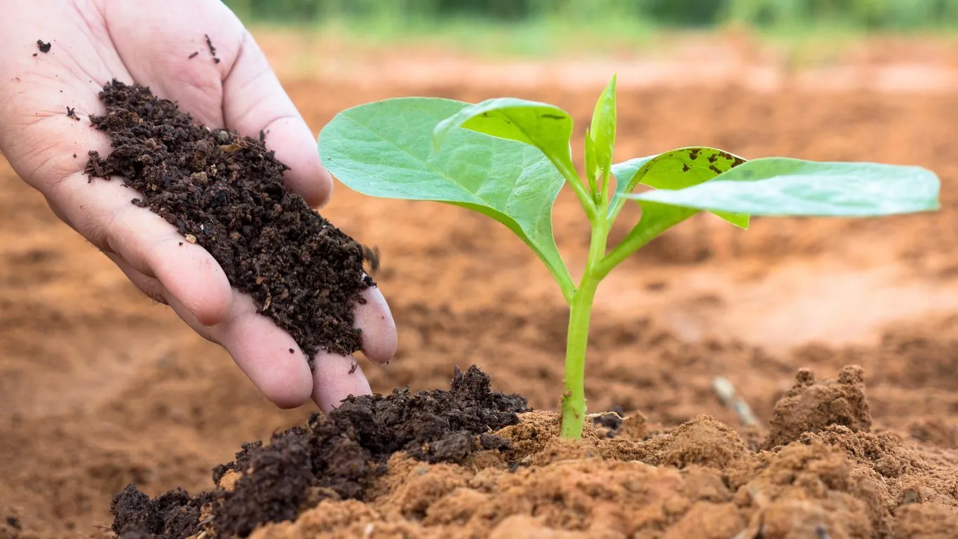 Humic Granules
